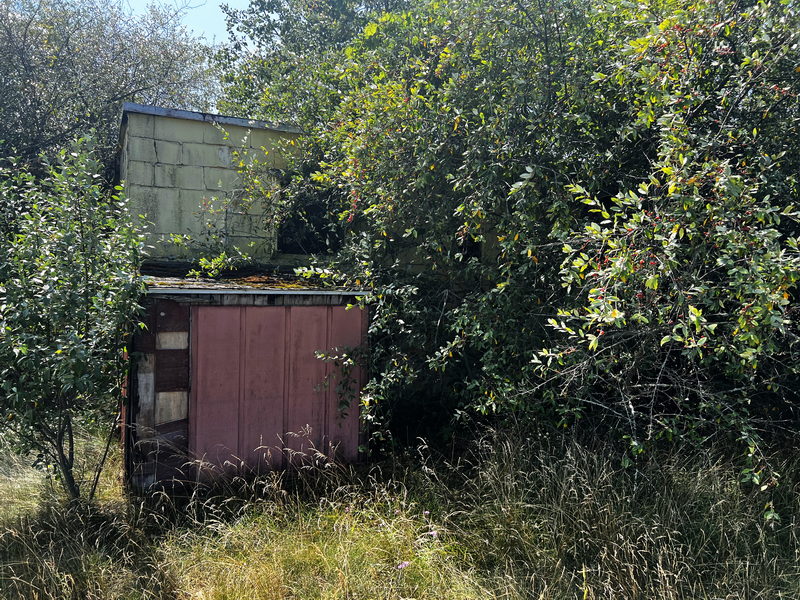 Chippewa Drive-In Theatre - Aug 21 2024